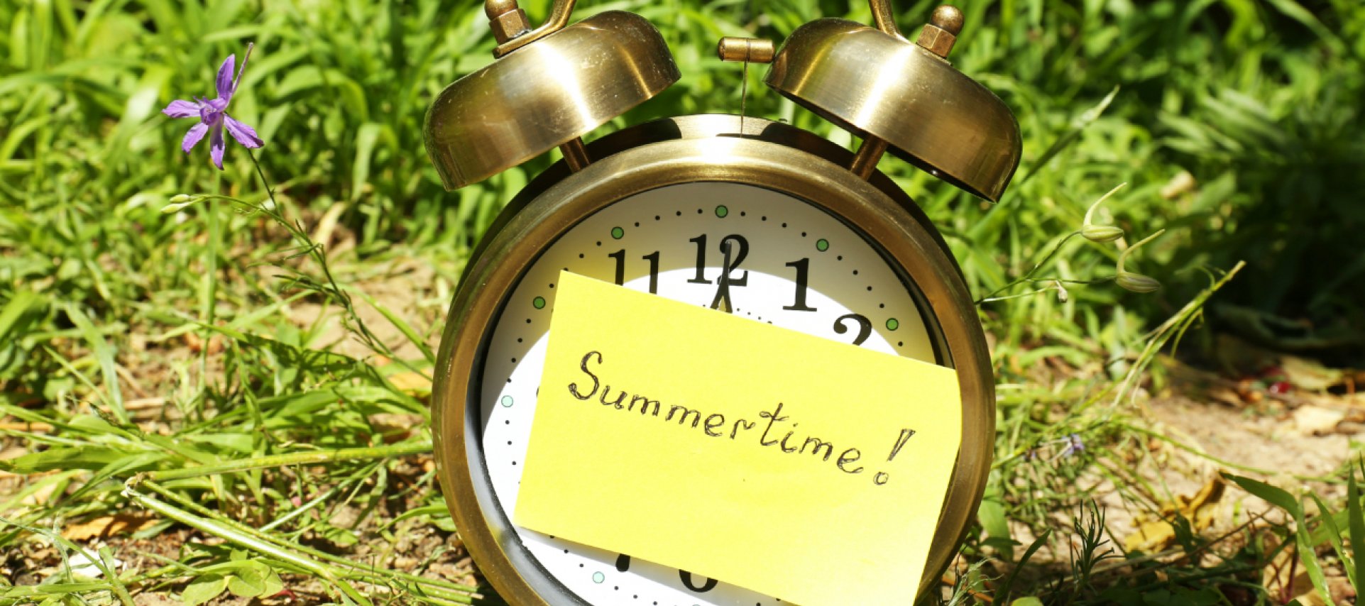 Summer opening hours