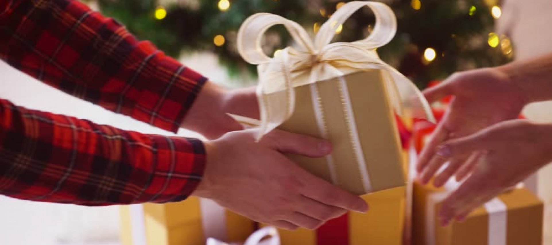 Santa Claus is coming to us by plane and humanitarian action
